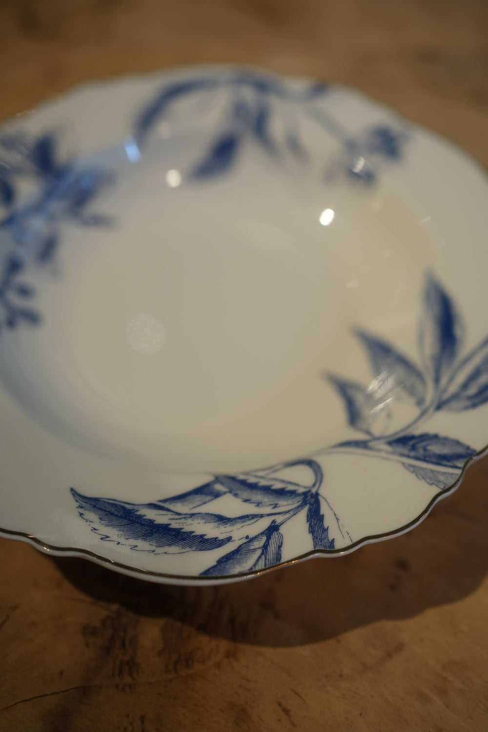 Blue Botanical 8.5" Soup Dish