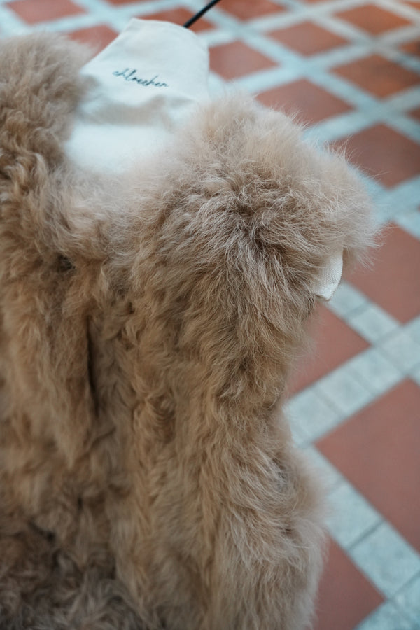 Button Front Shearling Gilet