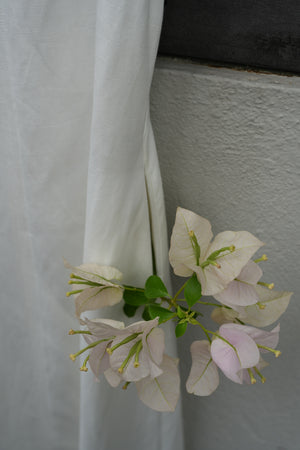 Bougainvillea flowers on a white surface with a neutral background
