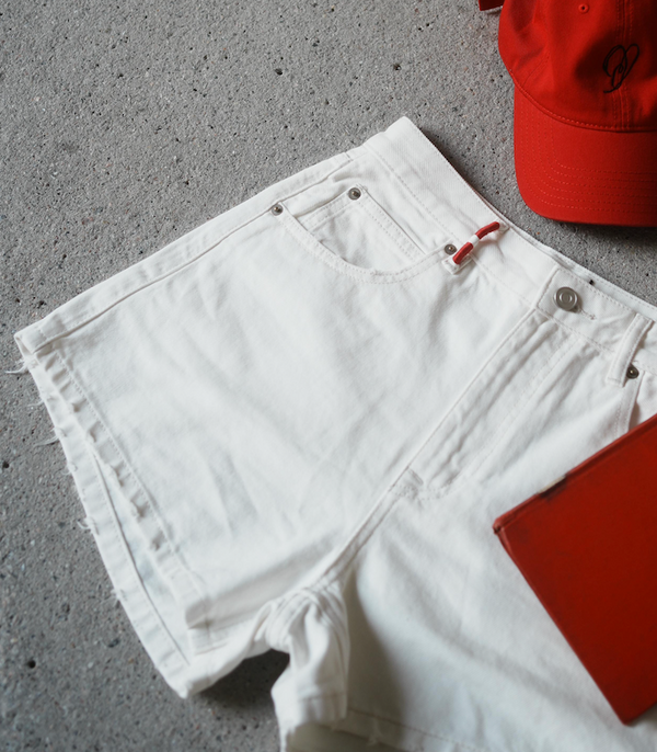 Waistline Embroidered Short