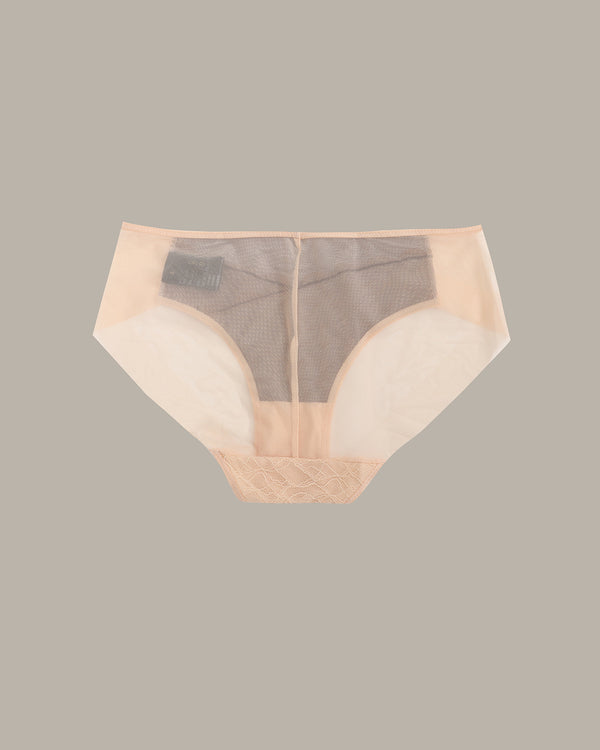 Delicate Lace Briefs