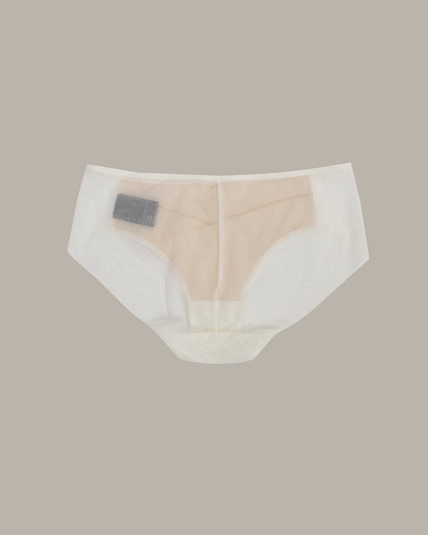Delicate Lace Briefs