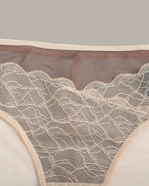 Delicate Lace Briefs