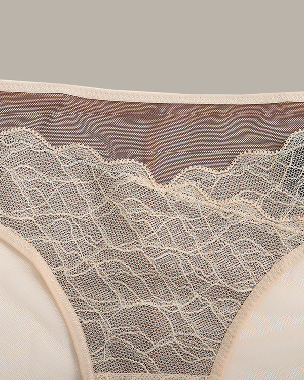 Delicate Lace Briefs