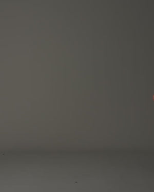 Floral Print Midi Skirt